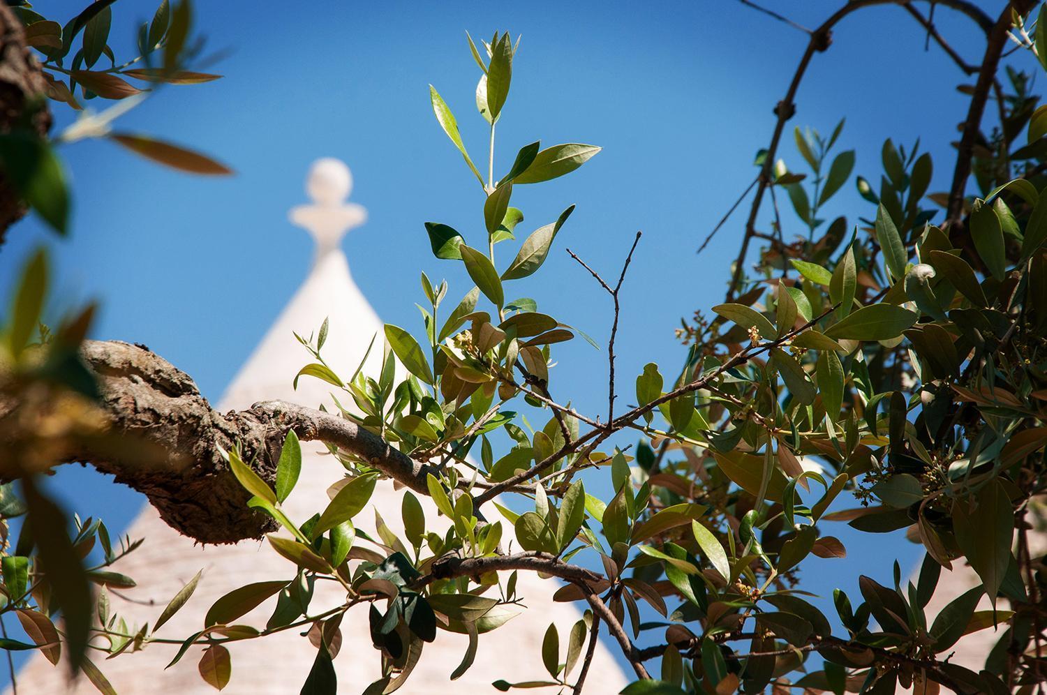 Trulli Loco Vila Locorotondo Exterior foto
